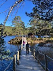 Vinnesvannet